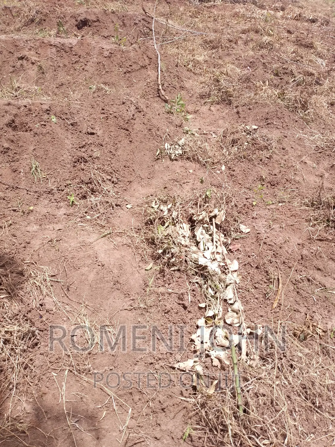 Eneo Sqmita 200 Linauzwa Ml 3.2 Chanika Buyuni.