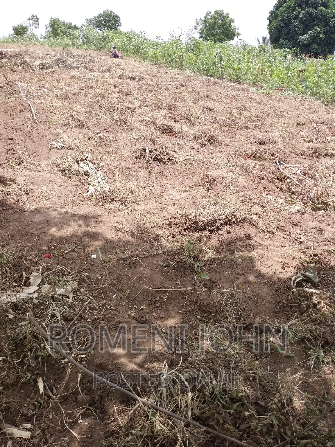 Kiwanja Sqmita 200 Kinauzwa Ml 3.3 Chanika Buyuni.