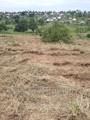 Kiwanja Sqmita 200 Kinauzwa Ml 3.9 Chanika Buyuni.