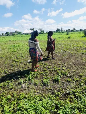 Real Kambele Company Wauzaji Viwanja