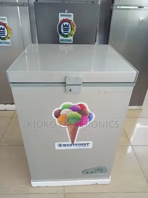 100 LTRS Westpoint Min Freezeer