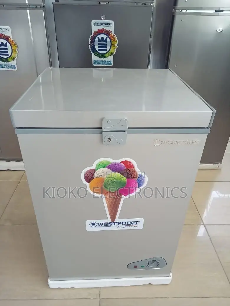 100 LTRS Westpoint Min Freezeer