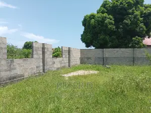 Kiwanja Mbweni