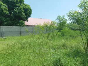 Kiwanja Mbweni