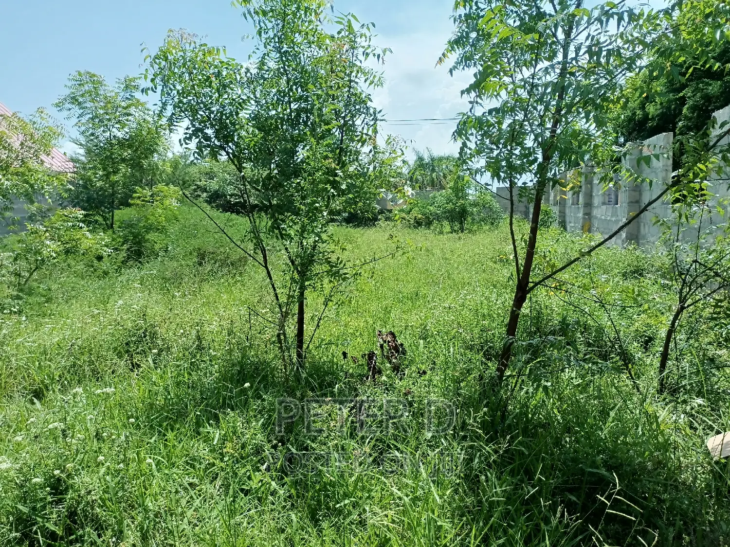 Kiwanja Mbweni