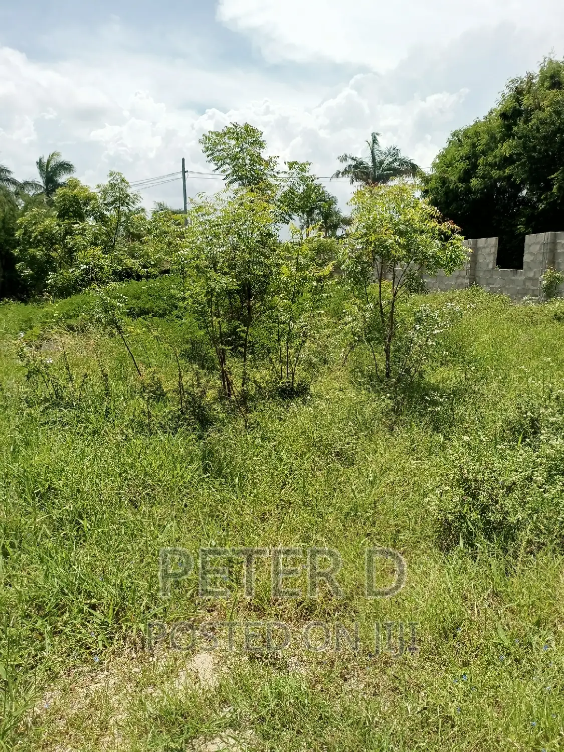 Plot Near Main Road