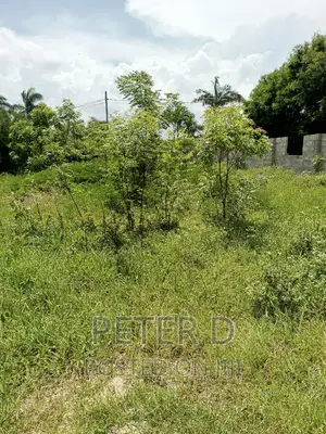 Plot Near Main Road