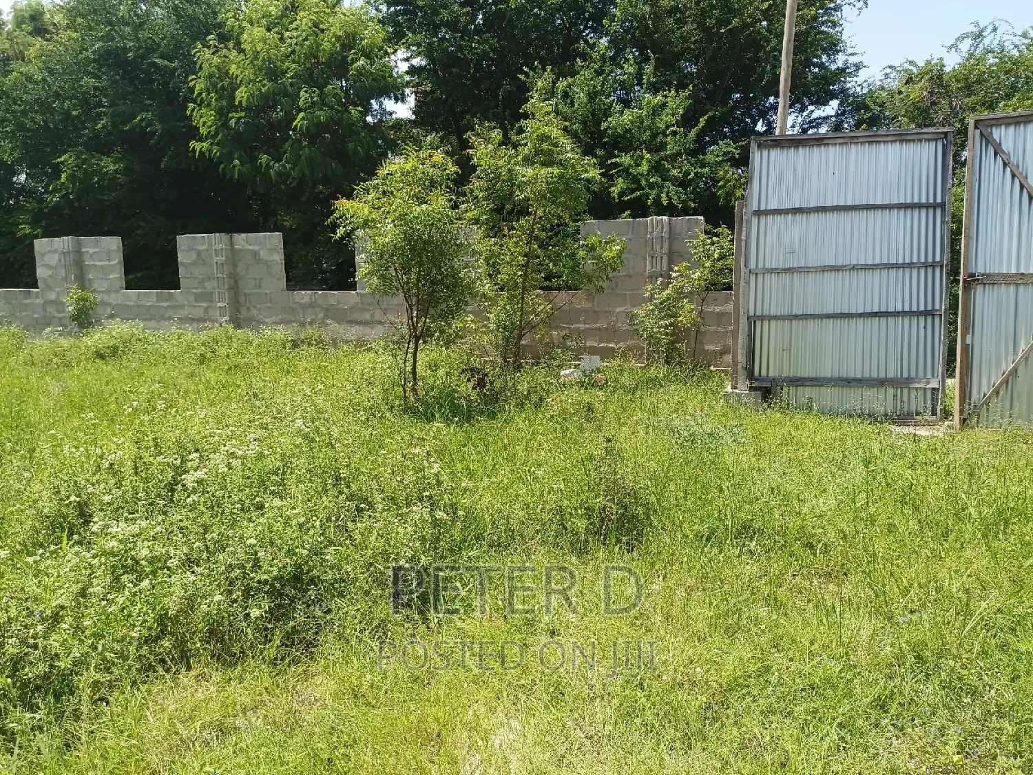 Plot Near Main Road