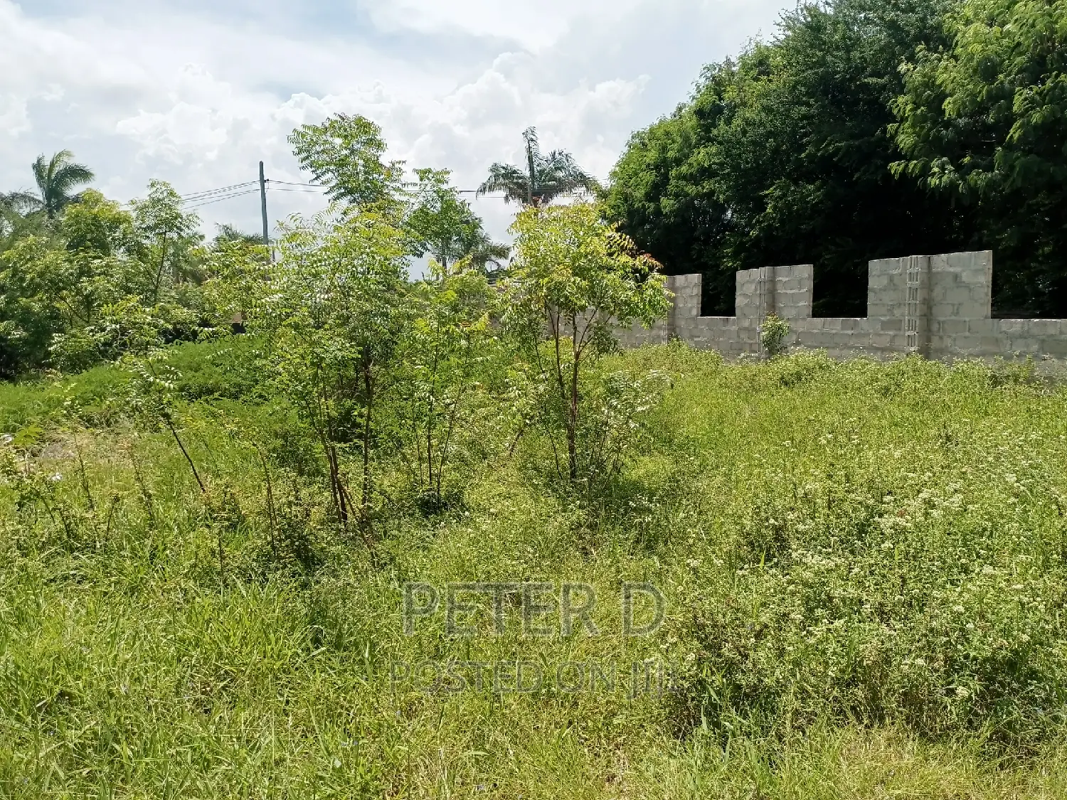 Plot Near Main Road