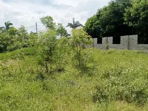 Plot Near Main Road