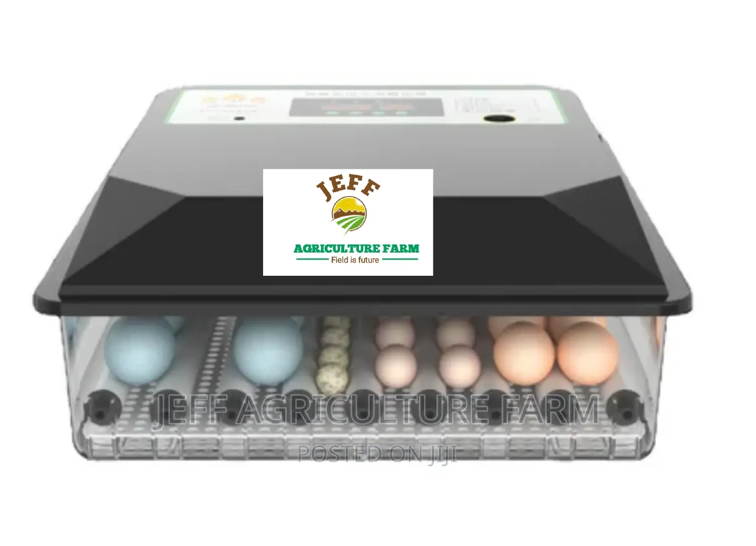 Favorite Incubator Machine 60 Eggs Now