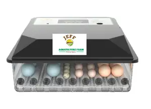 Favorite Incubator Machine 60 Eggs Now