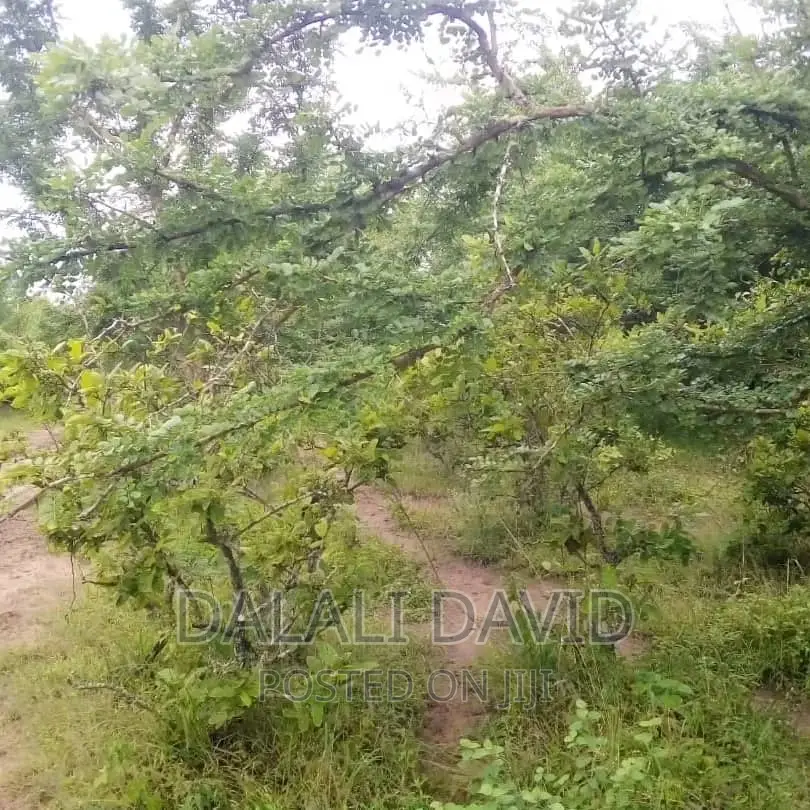 Plot for Sale at Mbweni Ubungo
