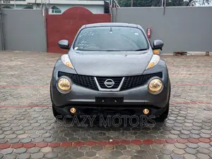 Nissan Juke 2011 Gray
