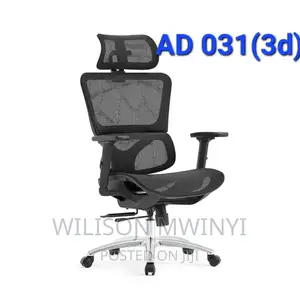 Ergonomic Office Chair