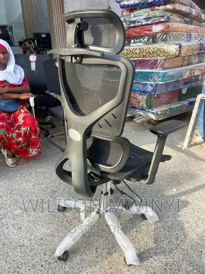 Ergonomic Office Chair