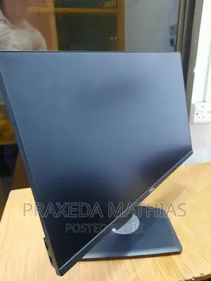 Dell Monitor Inch 24