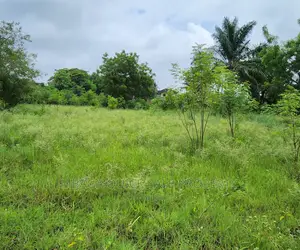 Plot for Sale at Goba Dangote