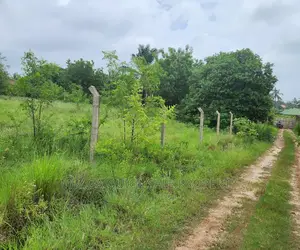 Plot for Sale at Goba Dangote