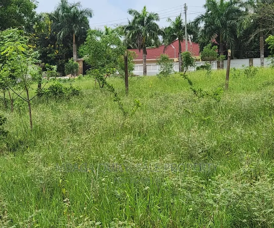 Plot for Sale at Goba Dangote