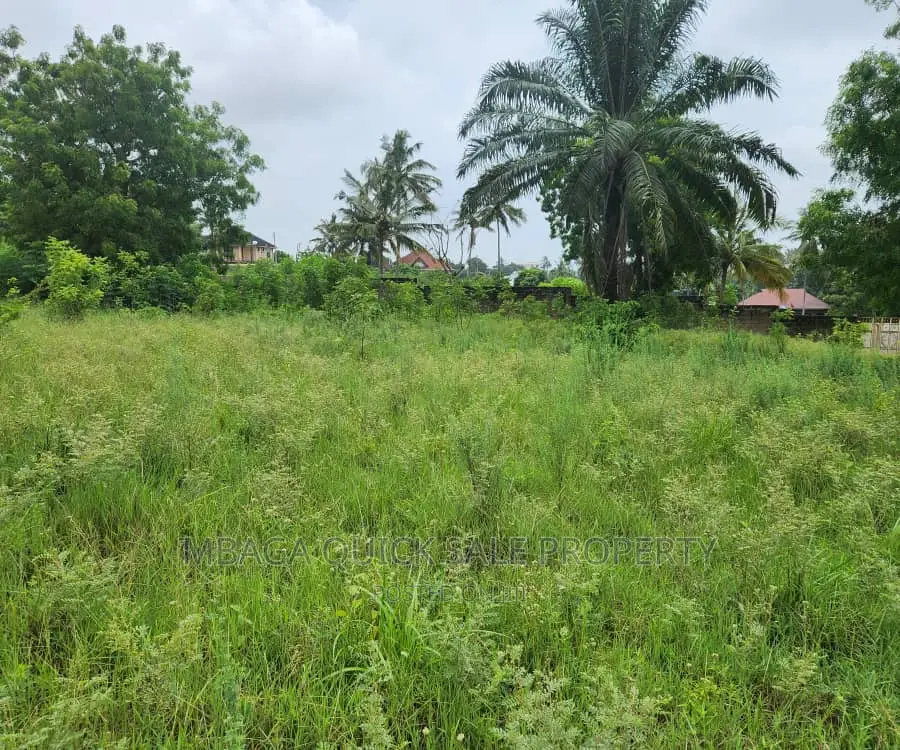 Plot for Sale at Goba Dangote