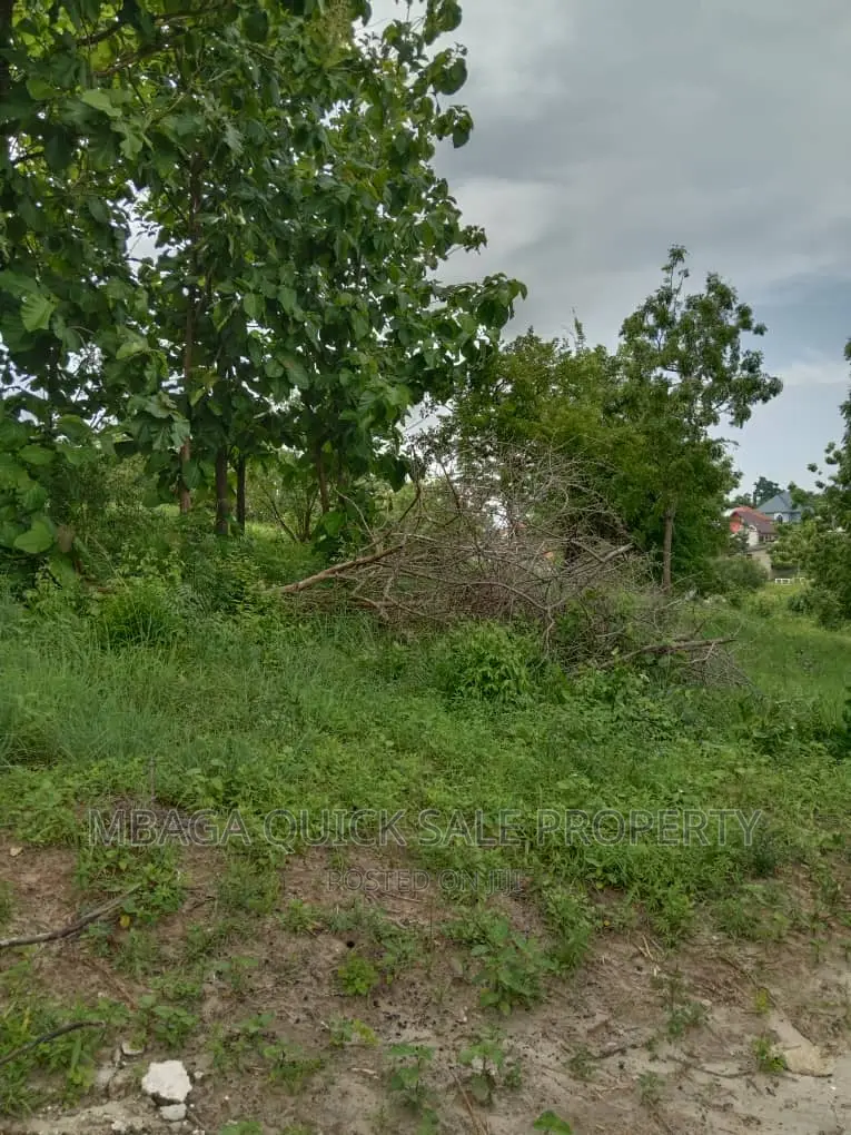 Plot for Sale at Salasala Mwanzo