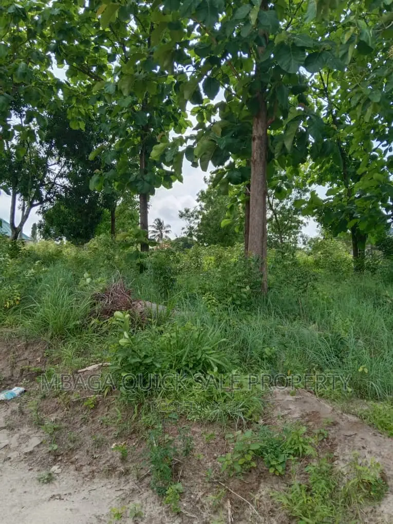 Plot for Sale at Salasala Mwanzo