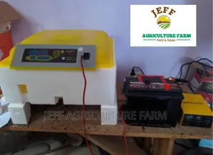 New 60 Eggs Available Incubator Machine