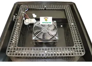 New 60 Eggs Available Incubator Machine