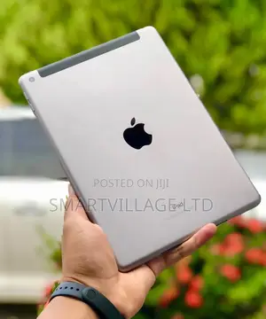 Apple iPad Air 2 128 GB Gray
