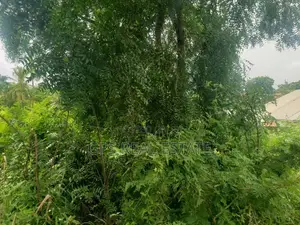 Plot for Sale at Mbezi Magufuli