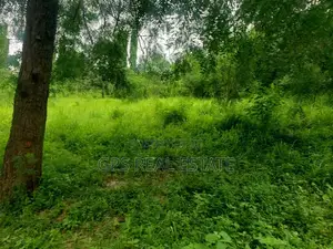 Plot for Sale at Mbezi Magufuli
