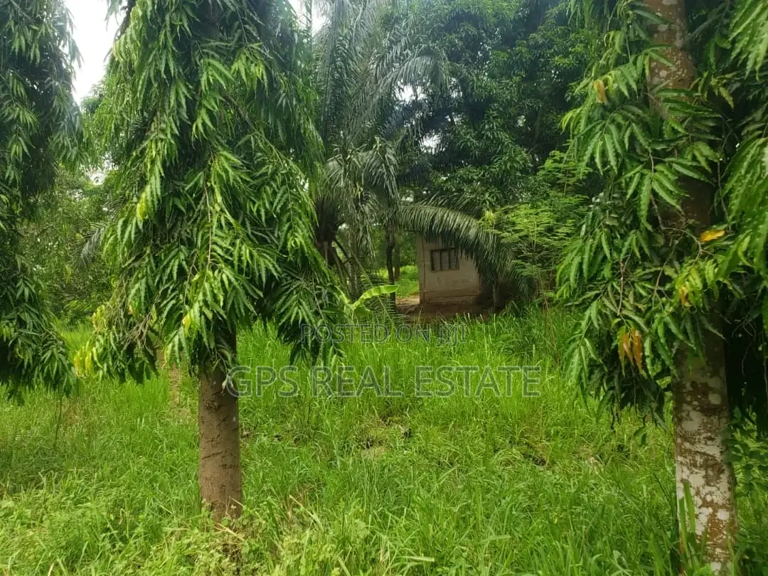 Plot for Sale at Mbezi Magufuli