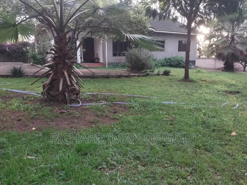 3bdrm Bungalow in Arusha for rent