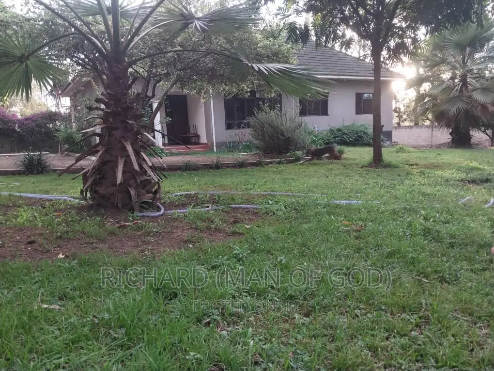 3bdrm Bungalow in Arusha for rent