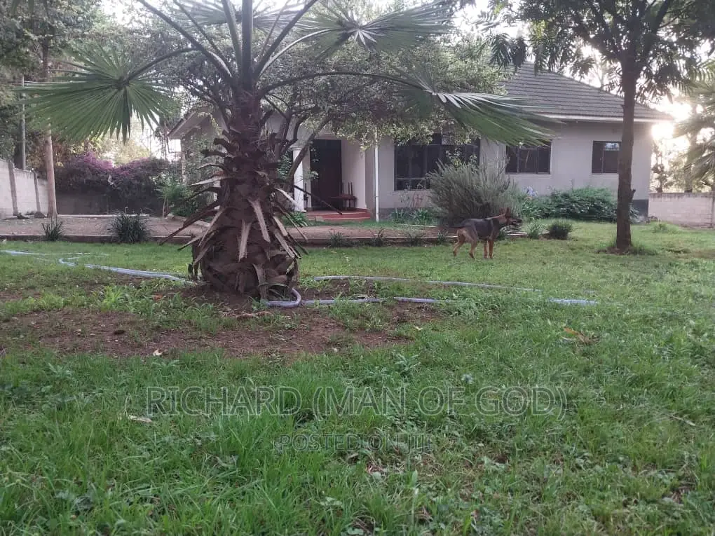 3bdrm Bungalow in Arusha for rent