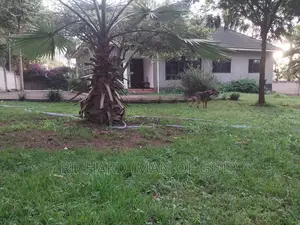 3bdrm Bungalow in Arusha for rent