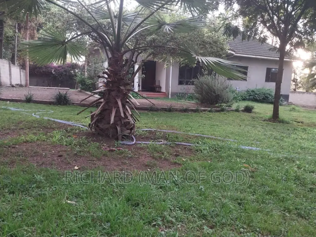 3bdrm Bungalow in Arusha for rent
