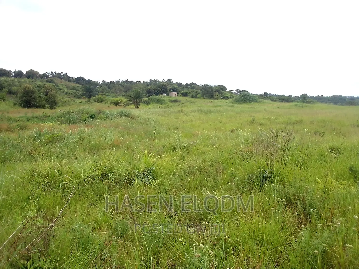 Shamba 2.6 Acre Linakodishwa Farm for Rent