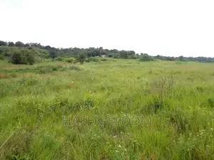 Shamba 2.6 Acre Linakodishwa Farm for Rent