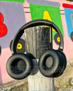 SONY Wh-Ch520 Headphones