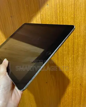Apple iPad Air 2 64 GB Gray