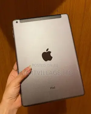 Apple iPad Air 2 64 GB Gray