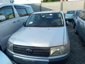 Toyota Probox 2006 Silver