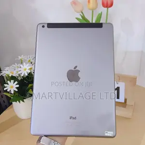 Apple iPad Air 64 GB Gray
