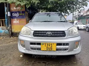 Toyota RAV4 2004 Silver