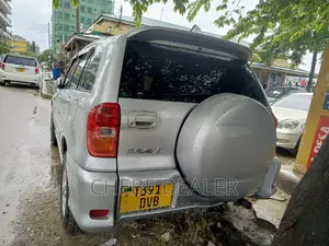 Toyota RAV4 2004 Silver