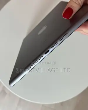 Apple iPad Air 16 GB Gray