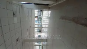Hall Place at Survey