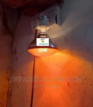 Taa Kisasa Kwa Vifaranga Aina Zote